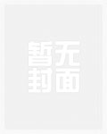 丰州八孩案基本案情